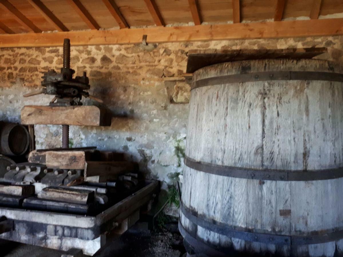 Grand Gite Maison D Alice Auvergne - 15 Personnes Saint-Bonnet-les-Quarts Exteriér fotografie